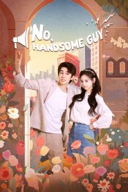 No, Handsome Guy: Season 1