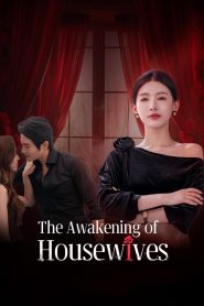 The Awakening of Housewives: Season 1